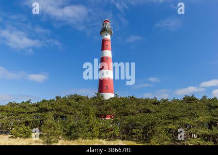 Rot-weißer historischer Leuchtturm auf der Düne in Ameland, Niederlande Stockfoto