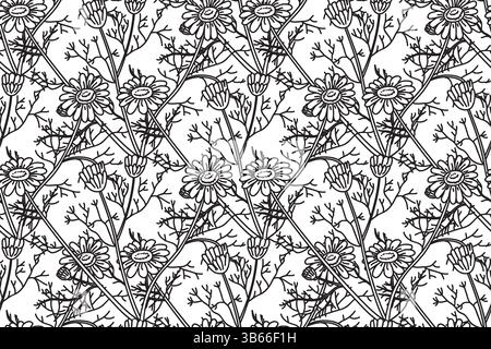 Linie Kunst botanisches nahtloses Blumenmuster mit Gänseblümchenblumen Vektor-Illustration. Schwarze Umrisse wiederholende Kamillenpflanzen auf weißem Hintergrund. Diagramm Stock Vektor