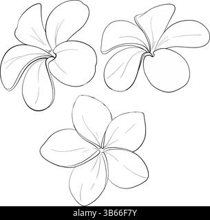Vektor-Clipart tropische Blumen. Federblume. Handgezeichnetes Element für Verpackung, Etikett, Logo, Icon-Design. Symbol der Leichtigkeit. Schwarzer Stromkreis Stock Vektor