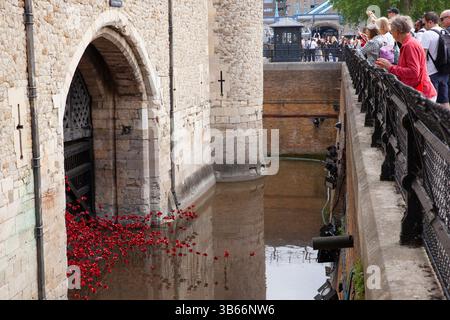 London, Großbritannien. Mai 2025. Anlässlich des 80. Jahrestages des VE Day, der am 8. Mai 2025 fällt, wird eine Installation von Keramikmohn im Tower of London installiert. 30.000 Mohnblumen, die vom Imperial war Museum geliehen werden, werden bis nach dem Waffenstillstandstag im November in Betrieb sein. Einige Mohnblumen fließen aus dem Verrätertor, andere befinden sich auf dem Burggelände. Sie wurden vom Künstler Paul Cummins entworfen und nach einem Entwurf von Tom Piper installiert. Quelle: Anna Watson/Alamy Live News Stockfoto