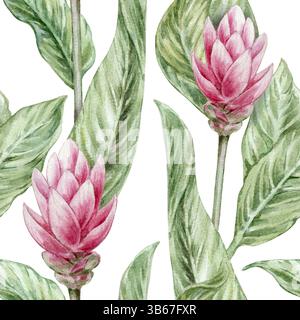 Nahtloses botanisches Aquarellmuster mit Ingwerblättern und roten Blumen auf weißem neutralen Hintergrund Stockfoto