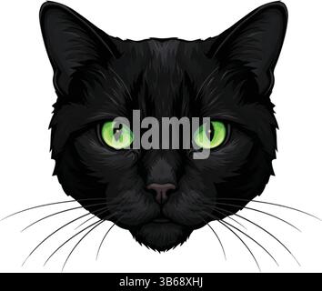 Eine schwarze Katze mit durchdringenden grünen Augen starrt nach vorne Stock Vektor