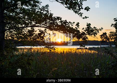 Mittsommerlicht ist magische Magie am Meer, am frühen Morgen. Stockfoto