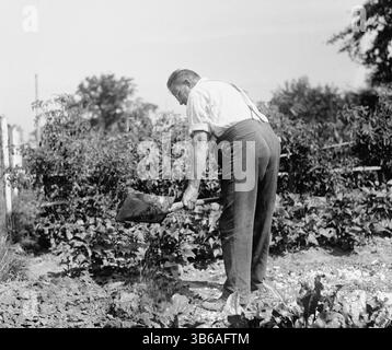 Ein gut gepflegter Landgarten, ca. 1918. Stockfoto