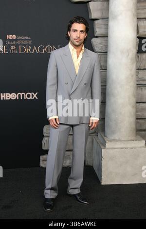 27. Juli 2022, Los Angeles, CA, USA: Fabien Frankel nimmt am 27. Juli 2022 an der HBO Original Drama Series House of the Dragon im Academy Museum of Motion Pictures Teil. (Kreditbild: © imageSPACE via ZUMA Press Wire) Stockfoto