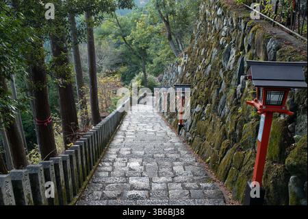 Steinweg gesäumt von roten Laternen an einem japanischen Schrein, der sich durch einen ruhigen Wald mit moosbedeckten Steinmauern schlängelt. Stockfoto
