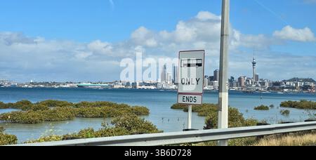Blick auf den Hafen von Auckland mit Mangroveninseln und Skyline der Stadt im Hintergrund, Neuseeland Stockfoto