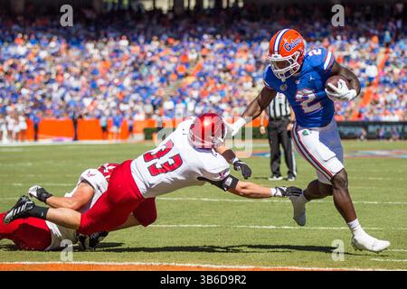 Oktober 2022, Gainesville, Florida, USA: Florida Gators Running Back MONTRELL JOHNSON JR. (2) stürzt beim NCAA-Fußballspiel zwischen den Eastern Washington Eagles und den Florida Gators im Ben Hill Griffin Stadium ein Tor. (Bild: © Jonathan Huff/CSM via ZUMA Press Wire) Stockfoto