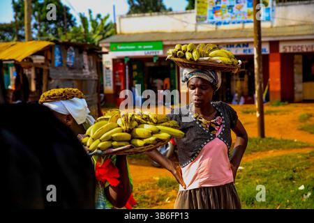 17. Februar 2024, Siaya, KENIA: Straßenverkäufer verkaufen Bananen an Passagiere an Bord eines Busdienstes in der Provinz Kodiaga in Kenia. GEM ist ein Wahlkreis in Kenia. Es ist einer von sechs Wahlkreisen im Siaya County. Der Wahlkreis wurde für die Wahlen 1963 eingerichtet. Sie hat 179.792 Einwohner, basierend auf dem Volkszählungsbericht von 2019, und ihr derzeitiges Mitglied der Nationalversammlung ist Hon. Elisha Ochieng' Odhiambo von der Orange Democratic Movement (ODM) Partei. (Bild: © Donwilson Odhiambo/ZUMA Press Wire) Stockfoto