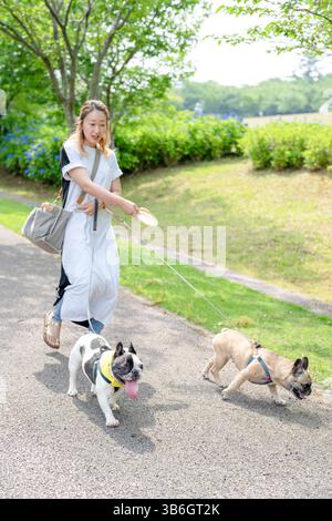 An einem Sommermorgen in einem Park mit blühenden Hortensien spaziert eine Japanerin im Alter von 30 Jahren mit zwei französischen Bulldoggen. Umgeben von Blumen und Bäumen, sind sie Stockfoto
