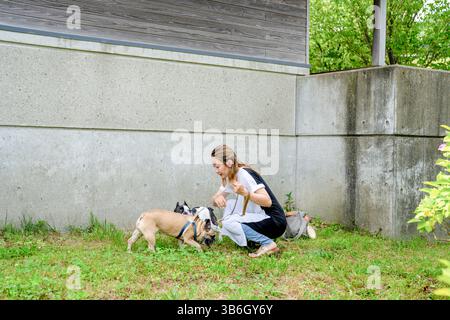 An einem Sommermorgen in einem Park mit blühenden Hortensien spaziert eine Japanerin im Alter von 30 Jahren mit zwei französischen Bulldoggen. Sie spielt mit ihnen im Sitzen, Surro Stockfoto