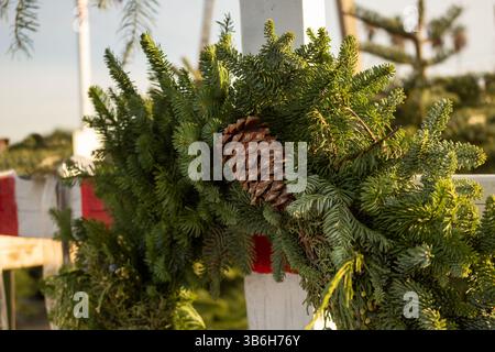 Eine Nahaufnahme eines Weihnachtskranzes aus Tannenzweigen und Tannenzapfen. Stockfoto