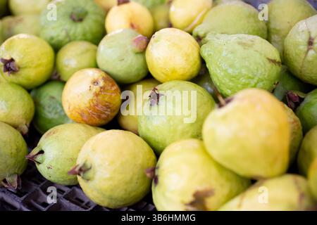 Ein Blick auf mehrere frische Guave-Früchte auf einem lokalen Bauernmarkt. Stockfoto