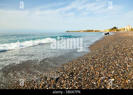 Spanischer Strand in der Stadt Motril mit einem Hund, der am Strand entlang läuft, Wellen und kleinen Kieselsteinen am Ufer. Stockfoto