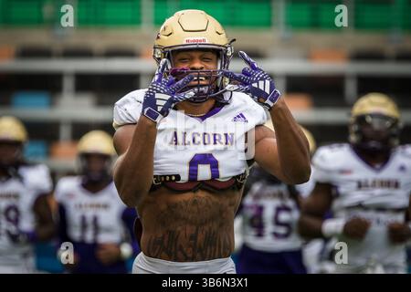 12. November 2023: Alcorn State Braves Running Back Jarveon Howard (0) bereitet sich auf das Vorspiel des NCAA-Fußballspiels zwischen den Alcorn State Braves und den Texas Southern Tigers im Shell Energy Stadium in Houston vor. Texas Southern besiegte Alcorn State mit 44:10. Prentice C. James via Cal Sport Media (Bild: © Prentice C. James/CSM via ZUMA Press Wire) Stockfoto