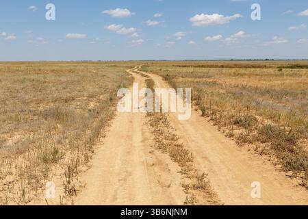 An einem sonnigen Tag führt eine kurvige Feldstraße durch die weite Steppe Kasachstans und hebt das trockene Gelände und die verstreute Vegetation hervor. Stockfoto