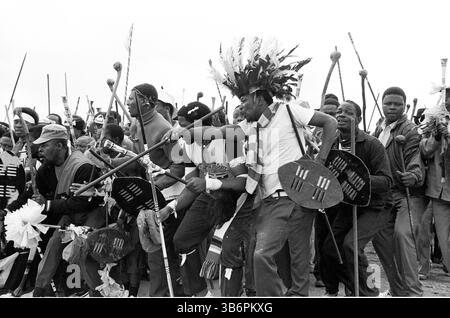 1993, Johannesburg, Südafrika: Mitglieder der ANC Self Defense Units und der IFP Self Protection Units traten in Kraft, als Nelson Mandela vom Afrikanischen Nationalkongress, Mangosuthu Buthelezi von der Inkatha Freedom Party und Pik Botha von der National Party eine Friedenskundgebung östlich von Johannesburg vor den ersten demokratischen Wahlen 1994 in Südafrika ansprachen. (Bild: © John Robinson/ZUMA Press Wire) Stockfoto