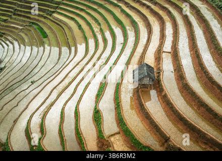 Luftaufnahme Drohnenflug über terrassierten Reisfeldern, Mu Cang Chai, Yen Bai, Vietnam Stockfoto