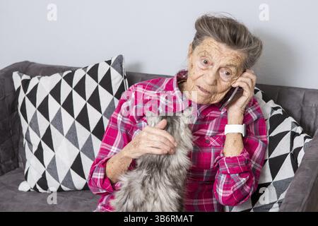 Talente, die alte Person nutzt Technologie. Reife zufriedene Freude Lächeln aktive graue Haare Kaukasische Falten Frau sitzend Zuhause Wohnzimmer auf Sofa mit flauschigen ca. Stockfoto