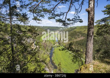 Blick vom Knopfmacherfelsen ins obere Donautal bei Beuron, Stadtteil Tuttlingen, Baden-Württemberg, Deutschland, Europa Stockfoto