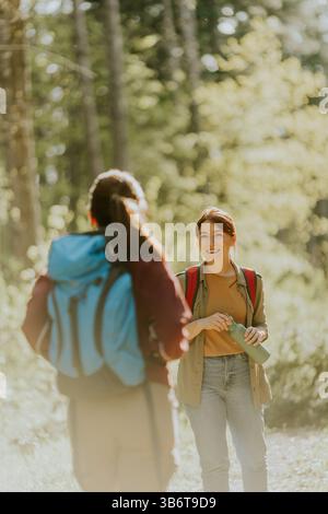 In einem lebendigen Wald teilen zwei Freunde während der Wanderung freudige Momente, umgeben von üppigem Grün und warmem Sonnenlicht, das durch Bäume strömt. Stockfoto
