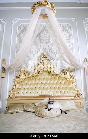 Das Thema ist Luxus und Reichtum. Junge Katze ohne Schwanz Vollblut Mecogon Bobtail liegt auf einem großen Bett auf einem Kissen in einem Renaissance Barock i Stockfoto