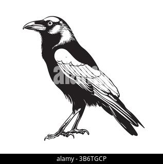Illustrationen von Krähenvögeln. Tusche einfache Skizzen von Tieren und Natur. Schwarzweiß-Vektorzeichnungen in Schwarzweiß. Stock Vektor
