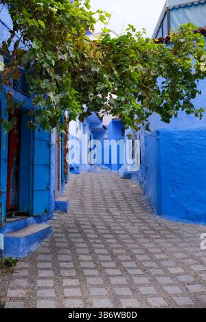 Die engen, gewundenen Gassen und Gassen der blauen Stadt Chefchaouen in Marokko. Illustrati die berühmten blau getünchten Wände und traditionellen Gebäude. Stockfoto