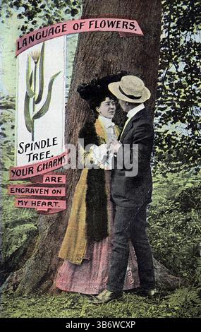 The Language of Flowers, aus einer Postkarte, die von Henry Garner Ltd. (H.G.L.) als Teil ihrer Living Picture Series, 1906 veröffentlicht wurde. Diese Postkarte zeigt einen Mann und eine Dame in einer Umarmung, neben einem Spindelbaum mit der Überschrift: Ihre Reize sind auf mein Herz graviert. Aus einer Auswahl diverser Postkarten aus dem frühen 20. Jahrhundert. Stockfoto