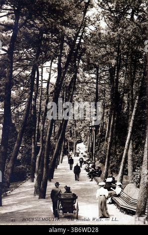Invalids Walk, Bournemouth, herausgegeben von LL (Léon & Lévy), um die frühen 1900er Jahre Invalids Walk war ein früherer Name für den heutigen Pine Walk in Bournemouth, England. Es war ein malerischer Weg, der für seine friedliche Atmosphäre bekannt ist und oft von Besuchern genutzt wird, die frische Luft und Entspannung suchen. Der Name wurde später geändert, aber es bleibt ein bezaubernder Teil der Landschaft Bournemouths. Aus einer Auswahl diverser Postkarten aus dem frühen 20. Jahrhundert. Stockfoto