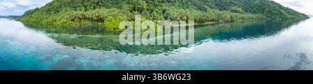 Ein flaches Korallenriff wächst am Rande einer malerischen, palmenbedeckten tropischen Insel in der Nähe von Halmahera, Indonesien. Dieses Gebiet weist eine hohe Artenvielfalt auf. Stockfoto