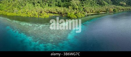 Ein flaches Korallenriff wächst am Rande einer malerischen, palmenbedeckten tropischen Insel in der Nähe von Halmahera, Indonesien. Dieses Gebiet weist eine hohe Artenvielfalt auf. Stockfoto