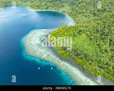Ein flaches Korallenriff wächst am Rande einer malerischen, palmenbedeckten tropischen Insel in der Nähe von Halmahera, Indonesien. Dieses Gebiet weist eine hohe Artenvielfalt auf. Stockfoto