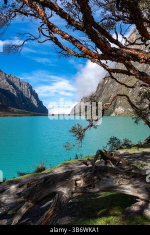 Ein atemberaubender türkisfarbener See reflektiert den blauen Himmel, eingebettet zwischen hoch aufragenden Bergen. Die friedliche Landschaft ist Teil der berühmten Laguna 69 Trek in Hu Stockfoto