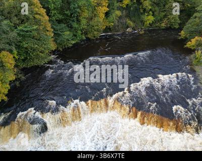 Blick über der Drohne auf die Aysgarth Falls in den Yorkshire Dales, mit mächtigem braunem Wasser, das über Felsen stürzt und von Herbstwäldern eingerahmt wird. Stockfoto