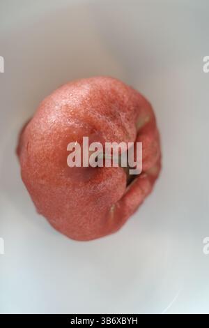 Ein Rosenapfel in einer weißen Schüssel. Es ist auch bekannt als Java Apfel. Stockfoto