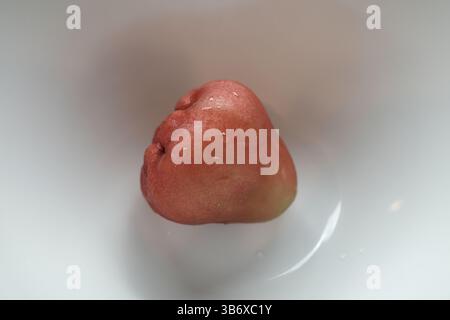 Ein Rosenapfel in einer weißen Schüssel. Es ist auch bekannt als Java Apfel. Stockfoto