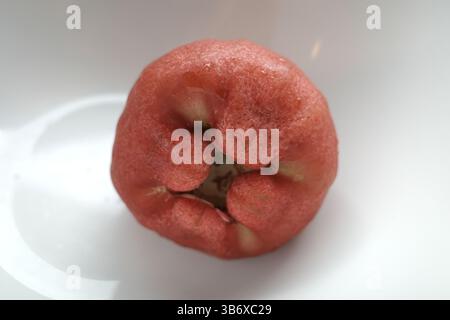 Ein Rosenapfel in einer weißen Schüssel. Es ist auch bekannt als Java Apfel. Stockfoto