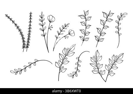 Eine Sammlung handgezeichneter Pflanzenillustrationen mit verschiedenen Blättern und Zweigen in einem minimalistischen Linienart-Stil, Vektorillustration.​ Stock Vektor