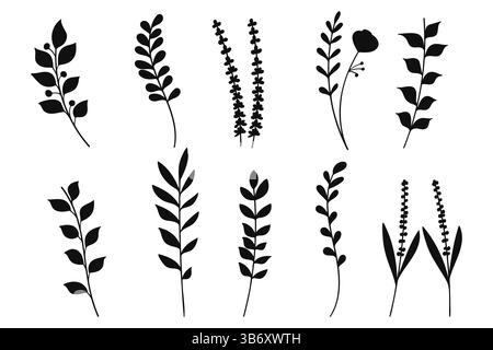 Eine Sammlung von handgezeichneten schwarzen Pflanzenillustrationen mit verschiedenen Blumen, Blättern und Zweigen im minimalistischen Linienstil, Vektorillustratio Stock Vektor