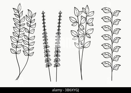 Botanische Zweige und Blätter handgezeichnete Vektorkollektion Stock Vektor