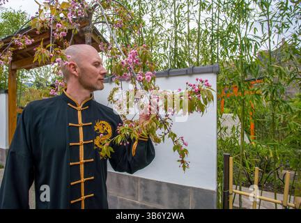 Junger Mann in Anzug des chinesischen buddhistischen Klosters (Tibet) im chinesischen Garten (oder japanischen Garten) und er genießt Kirschblüten Stockfoto