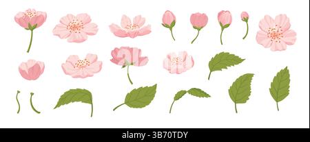 Sakura-Blüten und Knospen. Kirschfrühlingsblüte, blühende Blumen und Blätter, japanische blühende Kirschelemente flache Vektor-Illustration Set. Schön Stock Vektor