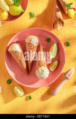 Köstliches und hausgemachtes Zitroneneis als Sommerdessert. Eis aus Sahne und Zitrusfrüchten. Stockfoto