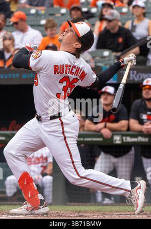 Baltimore, USA. Mai 2025. BALTIMORE, MD – 04. MAI: Der Baltimore Orioles-Fänger Adley Rutschman (35) beobachtet einen bei einem MLB-Spiel zwischen den Baltimore Orioles und den Kansas City Royals am 4. Mai 2025 im Oriole Park in Camden Yards in Baltimore, Maryland. (Foto: Tony Quinn/SipaUSA) Credit: SIPA USA/Alamy Live News Stockfoto