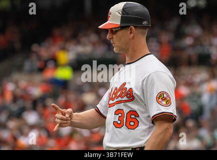 Baltimore, USA. Mai 2025. BALTIMORE, MD – 04. MAI: Tony Mansolino (36) sendet ein Signal während eines MLB-Spiels zwischen den Baltimore Orioles und den Kansas City Royals am 4. Mai 2025 im Oriole Park at Camden Yards in Baltimore, Maryland. (Foto: Tony Quinn/SipaUSA) Credit: SIPA USA/Alamy Live News Stockfoto