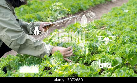 Smart Farming Agriculture Concept. Hand halten junge Pflanzen mit grafischen Konzepten moderner Landwirtschaftstechnologie, zukünftige 5G-Technologie zur Analyse eines Stockfoto