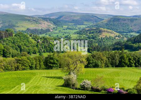 Landschaft in der Nähe von Berwyn in Denbighshire, Clwyd, Wales, Großbritannien Stockfoto