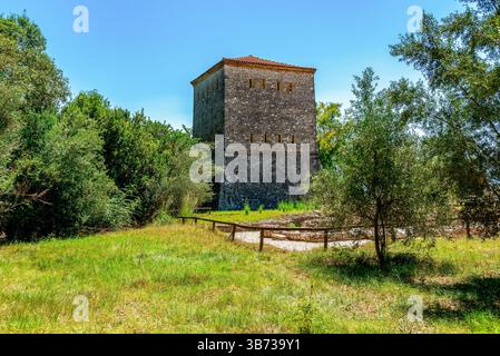 Der sonnendurchflutete venezianische Wachturm in Butrint erhebt sich über einer mediterranen Wiese, die von Olivenhainen und einem klaren albanischen Himmel umgeben ist Stockfoto