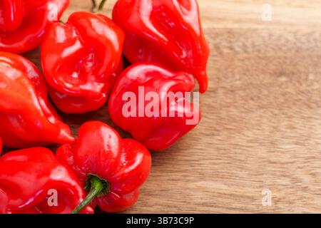 Rote scharfe Habanero- oder Capsicum Chinense-Chili-Paprika auf Holztisch. Draufsicht. Stockfoto